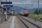 Ein IC mit Re 460 030 auf dem Weg nach Luzern.