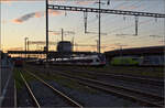 Noch schnell der Abend in Pratteln.

WRS mit Re 475 901 auf der Hauensteinlinie während auf der Bözbergstrecke sich RABe 521 013 'Delémont', RABe 523 046 und RABe 523 033 Richtung Basel begeben. Oktober 2024.