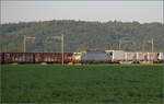 Re 475 434 bei Henschiken, Juni 2025.
