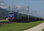 Re 475 901 der WRS mit einem Kesselwagenzug bei Neumatten, Oberbuchsiten. August 2025.