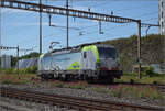 4-475-re-475-vectron-3/893767/re-475-411-in-pratteln-august Re 475 411 in Pratteln. August 2025.