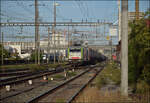 Re 486 501 und Re 475 410 in Pratteln. August 2026.