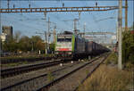 Re 486 501 und Re 475 410 in Pratteln. August 2026.