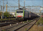 Re 486 501 und Re 475 410 in Pratteln. August 2026.