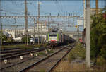 Re 486 501 und Re 475 410 in Pratteln. August 2026.