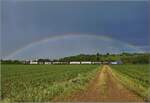 Re 482 019 mit Regenbogen bei Buggingen.