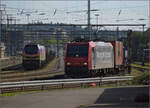 Re 482 012 'Wartung mit Durchblick' rangiert an ihren Gterzug.