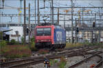 4-482-re-482-traxx-ac1/893770/re-482-016-in-pratteln-august Re 482 016 in Pratteln. August 2025.