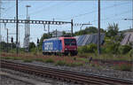 4-482-re-482-traxx-ac1/893772/re-482-016-in-pratteln-august Re 482 016 in Pratteln. August 2025.