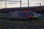 Noch schnell der Abend in Pratteln.

Re 484 018 auf der Bözbergstrecke. Oktober 2024.