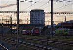 Noch schnell der Abend in Pratteln.

Re 484 018 auf der Bözbergstrecke begegnet Am 843 061. Oktober 2024.