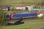 Sonnentag in Frick.

Ein Containerzug mit Re 484 013 (im Bild) und Re 484 014 'ChemOil' fährt zum Bözberg hoch. Frick, November 2024.