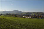 Sonnentag in Frick.

Ein Containerzug mit Re 484 013 und Re 484 014 'ChemOil' fährt zum Bözberg hoch. Frick, November 2024.