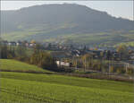 Sonnentag in Frick.

Ein Containerzug mit Re 484 013 und Re 484 014 'ChemOil' fährt zum Bözberg hoch. Frick, November 2024.