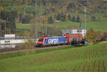 Sonnentag in Frick.

Re 484 010 mit einem Mischer auf dem Weg nach Basel. Frick, November 2024.