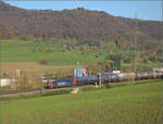 Sonnentag in Frick.

Re 620 023 Rupperswil mit Kesselwagen auf dem Weg nach Basel. Frick, November 2024.