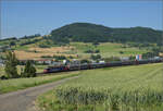 Re 6/6 11678 'Bassersdorf' mit Planenwagen bei Frick, Juni 2025.