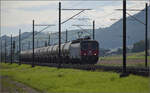 Re 6/6 11686 'Hochdorf' mit dem Hlcimzug im Dünnerenfeld. Oensingen, August 2025.