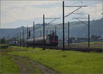 Re 6/6 11686 'Hochdorf' mit dem Hlcimzug im Dünnerenfeld. Oensingen, August 2025.