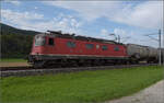 Re 6/6 11637 'Sanceboz-Sombeval' bei Neumatten, Oberbuchsiten. August 2025.