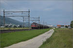 Re 6/6 11637 'Sanceboz-Sombeval' bei Neumatten, Oberbuchsiten. August 2025.