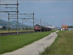 Re 6/6 11637 'Sanceboz-Sombeval' bei Neumatten, Oberbuchsiten. August 2025.
