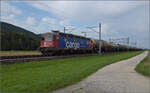 Re 6/6 11613 'Rapperswil' bei Neumatten, Oberbuchsiten. August 2025.