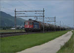 Re 6/6 11613 'Rapperswil' bei Neumatten, Oberbuchsiten. August 2025.