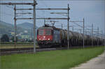 Re 6/6 11613 'Rapperswil' bei Neumatten, Oberbuchsiten. August 2025.