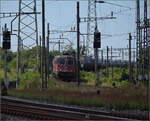 4-620-re-620-re-66-2/893798/re-66-11630-herzogenbuchsee-in-pratteln Re 6/6 11630 'Herzogenbuchsee' in Pratteln. August 2025.