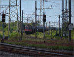 4-620-re-620-re-66-2/893799/re-66-11630-herzogenbuchsee-in-pratteln Re 6/6 11630 'Herzogenbuchsee' in Pratteln. August 2025.