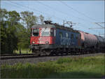 Re 620 005 bei Altreu. Diese Lok ist die erste der Serienausf�hrung und die �lteste Re 6/6 bei den SBB. September 2026.