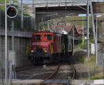 Der Museumszug mit Seetalkrokodil De 6/6 15301, Ae 3/5 10217 und Seetalwagen treffen in Waldibrcke ein.