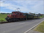 Der Museumszug mit Seetalkrokodil De 6/6 15301, Ae 3/5 10217 und Seetalwagen auf dem Weg nach Waldibrcke.