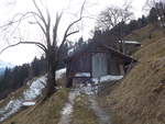 (189'115) - Das Zihl-Ladholz von hinten am 5.
