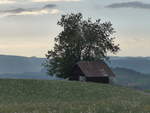 (192'966) - Baum und Scheune am 11.