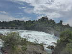 (193'960) - Der Rheinfall mit Brcke und Schloss Laufen am 10.
