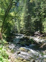 (173'162) - Bach bei den Grotten von Vallorbe am 20.
