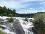 (193'961) - Der Rheinfall mit Brcke am 10.