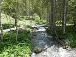 (251'134) - Bach- und Waldlandschaft am 6.