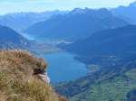 (155'810) - Aussicht vom Niesen auf den Thuner- und Brienzersee am 19.