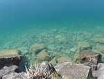 (215'948) - Klares Wasser im Thunersee am 8.