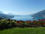 (254'817) - Der Thunersee am 5.