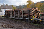 Snps-Holztransportwagen mit der Kennung 31 85 4723 139-5 CH-SBBC in Les Verrières.