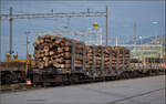 Holzwagen Snps 31 85 4723 133-8 CH-SBBC in Glovelier.