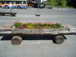 (134'755) - Blumentrgli in Grindelwald am 3.