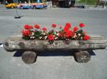 (134'756) - Blumentrgli in Grindelwald am 3.