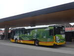 (227'214) - Voegtlin-Meyer, Brugg - AG 381'644 - Scania am 9.