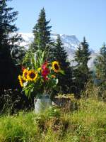 (135'380) - Schner Bergblumenstrauss in der Milchkanne auf der Alp Laueli bei Adelboden am 1.
