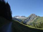 (140'976) - Der Wildstrubel und Fitzer am 1.